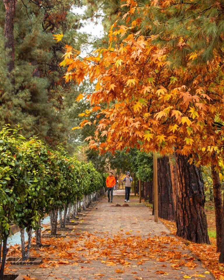 Visit Shiraz in autumn (September to November)