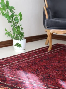 HORMOZGAN 18 Tapis persan fait main – Baloutche rouge 2