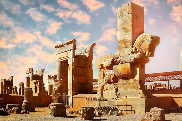 SHIRAZ 8 chiraz cover image 4 1