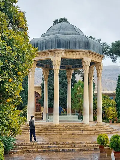 SHIRAZ 1 shiraz cover image 5 1